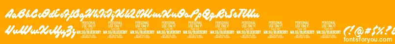 BlueberryscriptPersonalUse-Schriftart – Weiße Schriften auf orangefarbenem Hintergrund