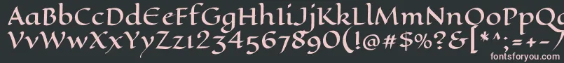 EaglelakeRegular Font – Pink Fonts on Black Background
