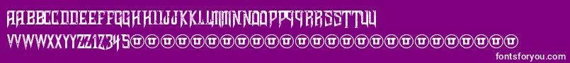 ShadowsOfSecurity Font – White Fonts on Purple Background