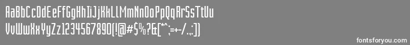 VixarAsci Font – White Fonts on Gray Background