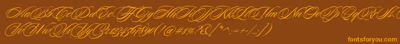 SloopScripttwo Font – Orange Fonts on Brown Background