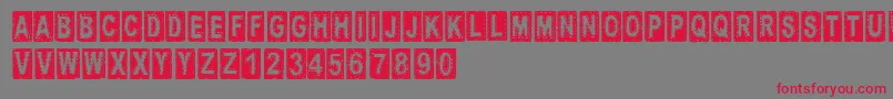 CftissusRegular Font – Red Fonts on Gray Background
