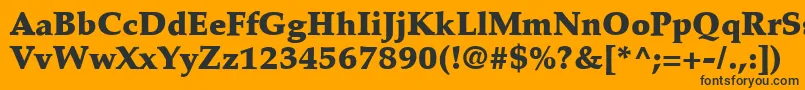 PalatinoLtBlack Font – Black Fonts on Orange Background