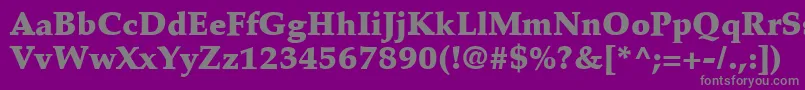 PalatinoLtBlack Font – Gray Fonts on Purple Background