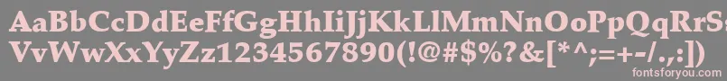 PalatinoLtBlack Font – Pink Fonts on Gray Background