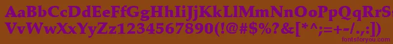 PalatinoLtBlack Font – Purple Fonts on Brown Background