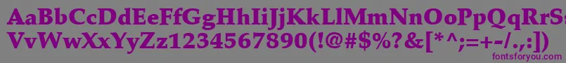 PalatinoLtBlack Font – Purple Fonts on Gray Background