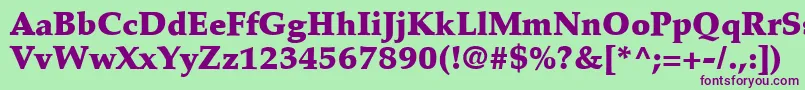 PalatinoLtBlack Font – Purple Fonts on Green Background