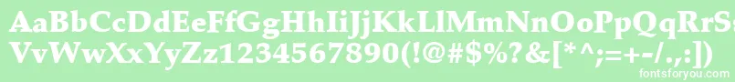 PalatinoLtBlack Font – White Fonts on Green Background