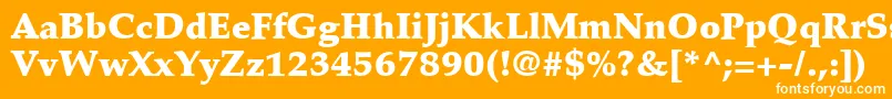 フォントPalatinoLtBlack – オレンジの背景に白い文字