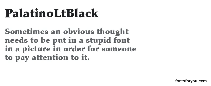 Review of the PalatinoLtBlack Font