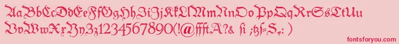 Peter Font – Red Fonts on Pink Background
