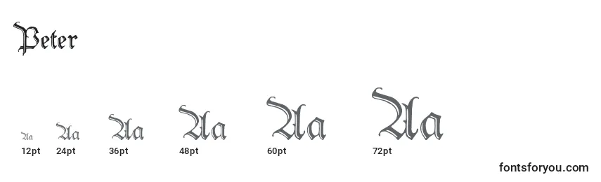 Peter Font Sizes
