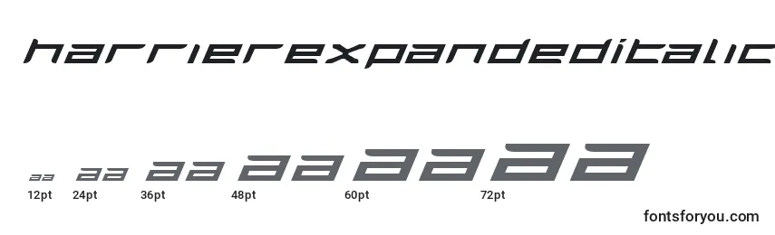 Размеры шрифта HarrierExpandedItalic