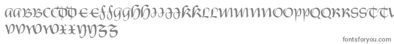 CastiglioneRegular-fontti – harmaat kirjasimet valkoisella taustalla
