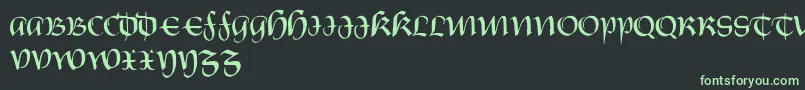 CastiglioneRegular Font – Green Fonts on Black Background