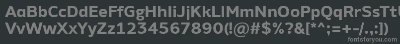 AminoAltBold Font – Gray Fonts on Black Background