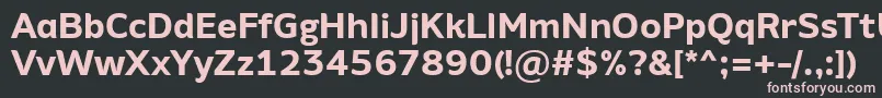 AminoAltBold Font – Pink Fonts on Black Background
