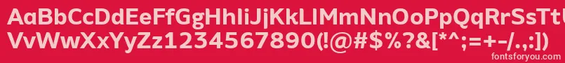 AminoAltBold Font – Pink Fonts on Red Background