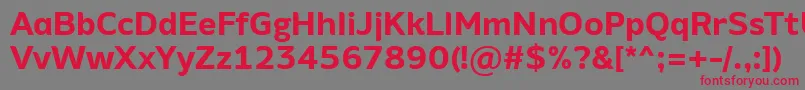AminoAltBold Font – Red Fonts on Gray Background