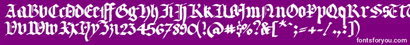 Llterg Font – White Fonts on Purple Background