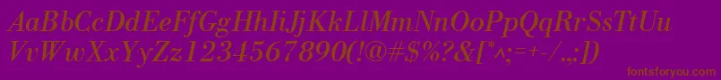 NewbodoniItalic Font – Brown Fonts on Purple Background