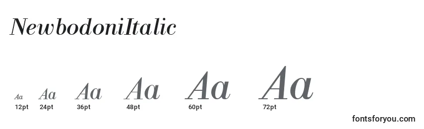 Размеры шрифта NewbodoniItalic
