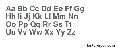 NimbussanlBol-fontti