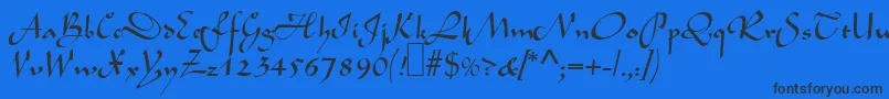 L690ScriptRegular Font – Black Fonts on Blue Background