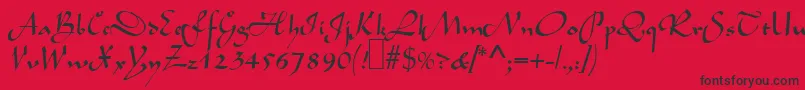 L690ScriptRegular Font – Black Fonts on Red Background