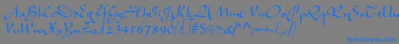 フォントL690ScriptRegular – 灰色の背景に青い文字