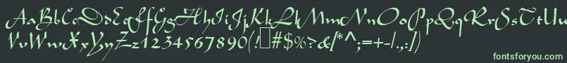フォントL690ScriptRegular – 黒い背景に緑の文字