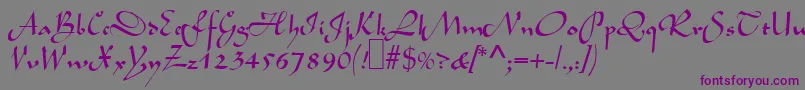L690ScriptRegular Font – Purple Fonts on Gray Background