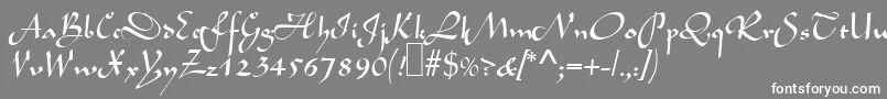L690ScriptRegular Font – White Fonts on Gray Background