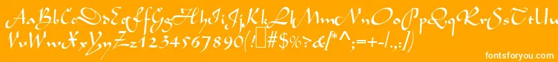 L690ScriptRegular-fontti – valkoiset fontit oranssilla taustalla