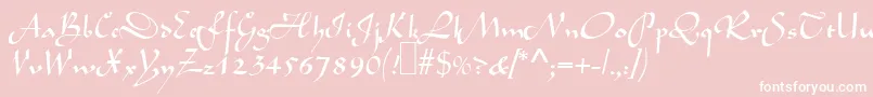 フォントL690ScriptRegular – ピンクの背景に白い文字