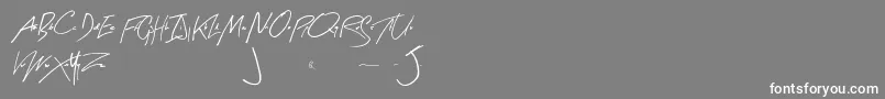 フォントArtySignature – 灰色の背景に白い文字