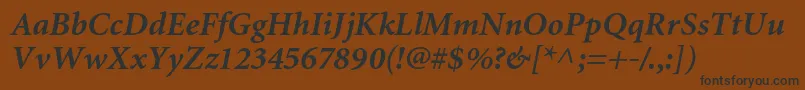 MiniaturecBolditalic Font – Black Fonts on Brown Background