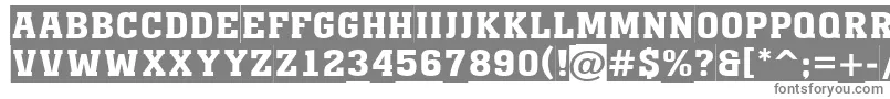 AMonumentotitulsl-fontti – harmaat kirjasimet valkoisella taustalla