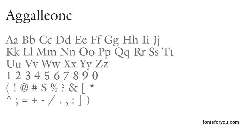 Czcionka Aggalleonc – alfabet, cyfry, specjalne znaki