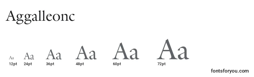 Größen der Schriftart Aggalleonc