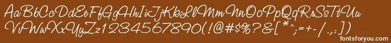 Шрифт Ssr56C – белые шрифты на коричневом фоне