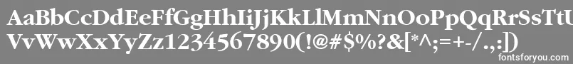 AgSaturdayBoldBold Font – White Fonts on Gray Background