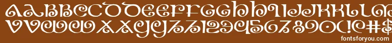 Theshireexp Font – White Fonts on Brown Background