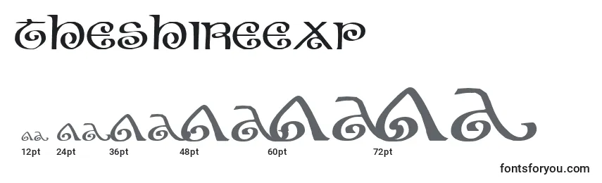Theshireexp Font Sizes