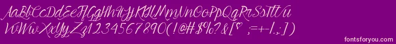 fuente MfYoungBeautiful – Fuentes Rosadas Sobre Fondo Morado