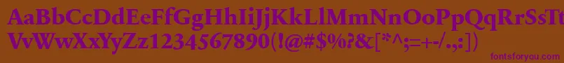 SabonnextLtExtraBold Font – Purple Fonts on Brown Background