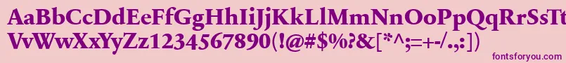 SabonnextLtExtraBold-Schriftart – Violette Schriften auf rosa Hintergrund