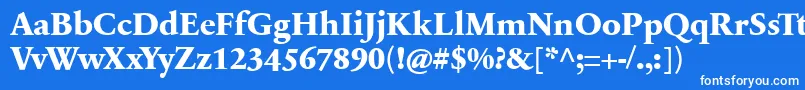 フォントSabonnextLtExtraBold – 青い背景に白い文字