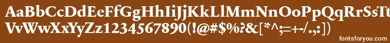 フォントSabonnextLtExtraBold – 茶色の背景に白い文字